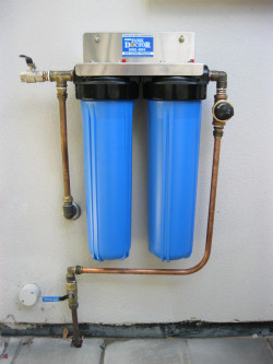 Twin Cartridge Whole House Filtration System