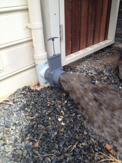 Gate Valve Flushing 72dpi