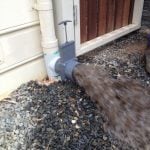 Gate Valve Flushing 72dpi