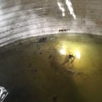 Filthy-tank-to-clean-the-tank-doctor-adelaide-2048x1365-72dpi-low