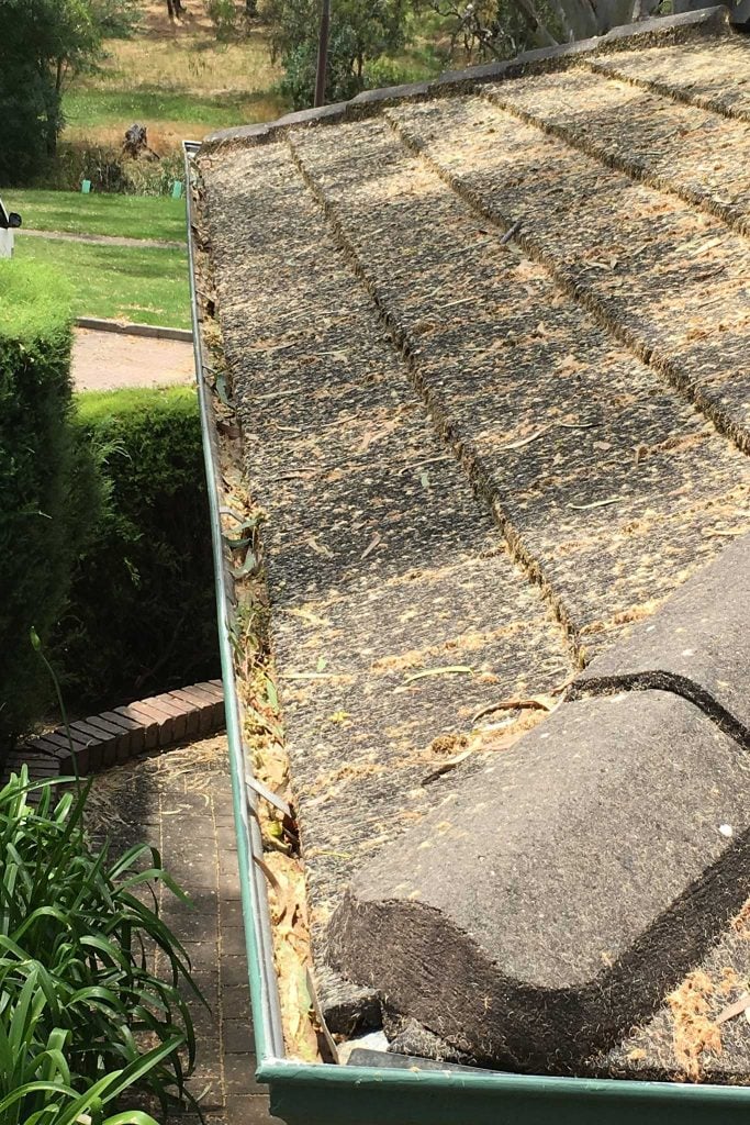 Leaf-and-pollen-covered-roof---Tannin-1365x2048-72dpi-low