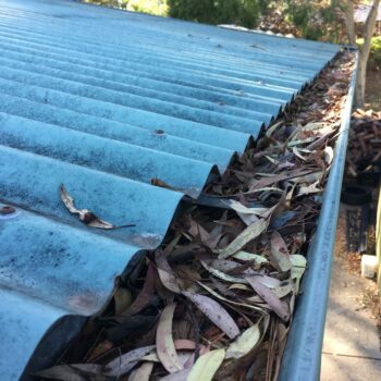 Dirty-Leaf-Filled-Gutters