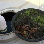 Filthy-tank-inlet-screen